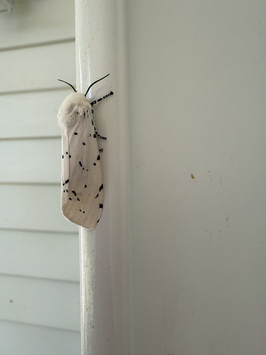 DaisyDespair's tweet photo. @GAFollowers Saw this at my door today. https://t.co/EExjmRNaGK