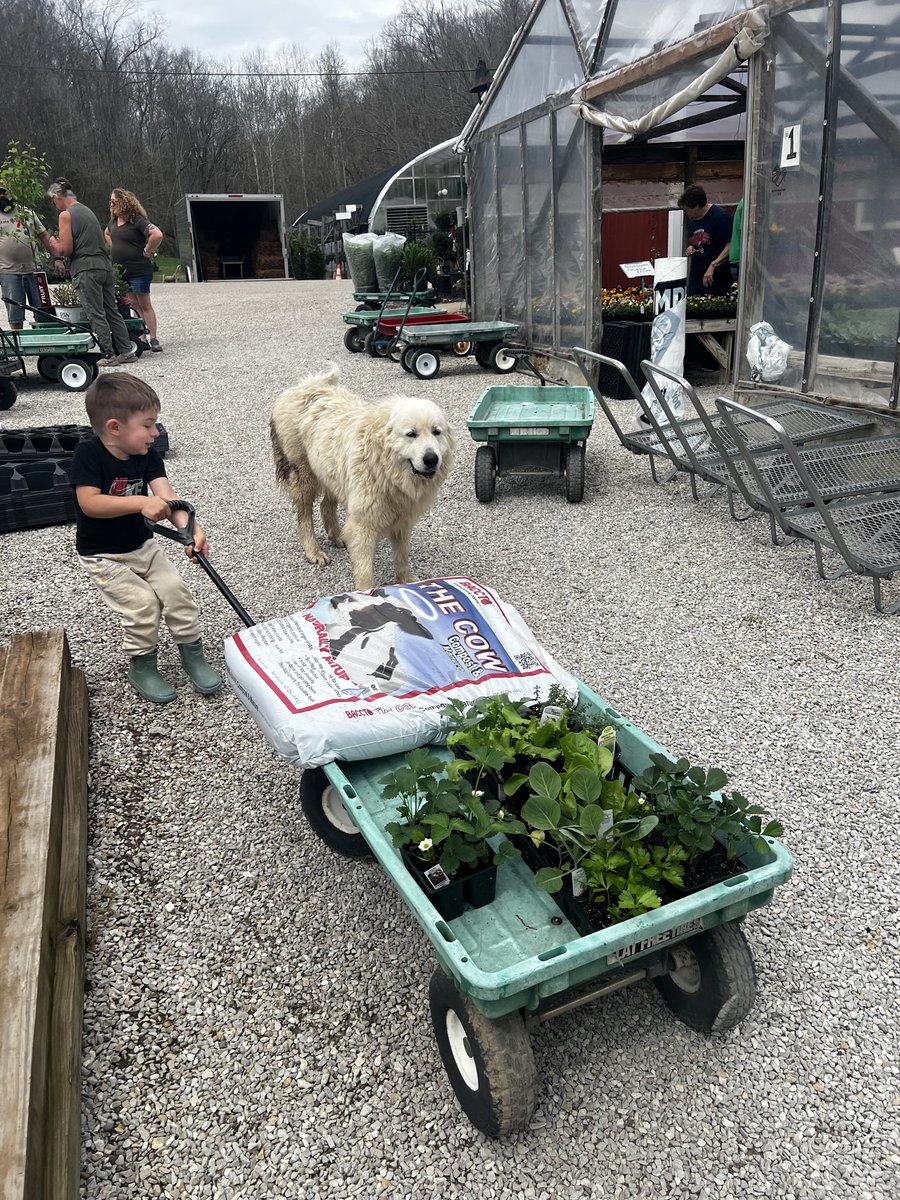 Hackable Animal tweet media