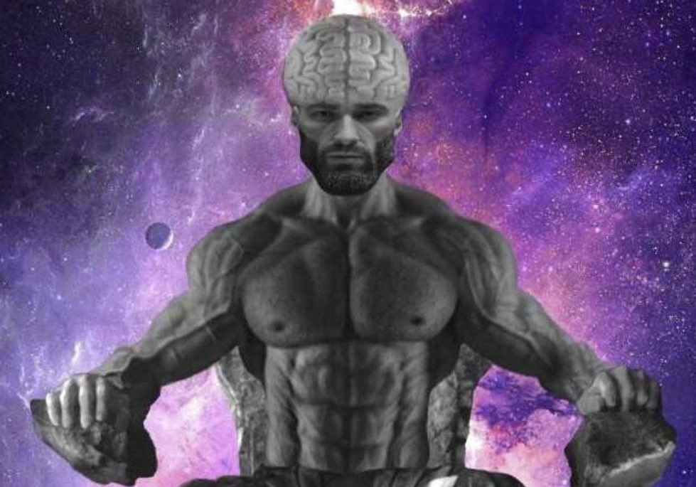 FaustundFredrick tweet media