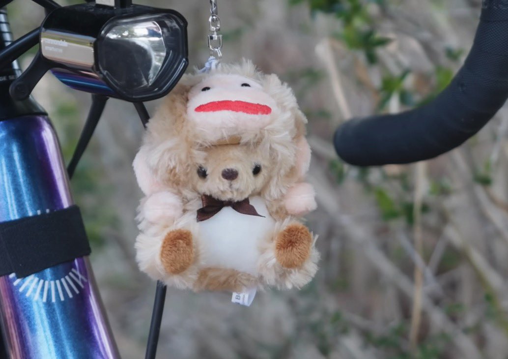 pix 👾 tweet media