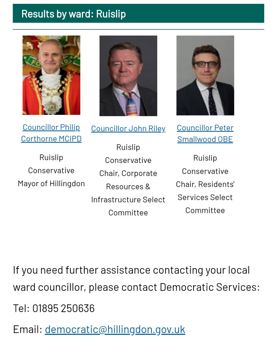 ruisliplocal tweet media