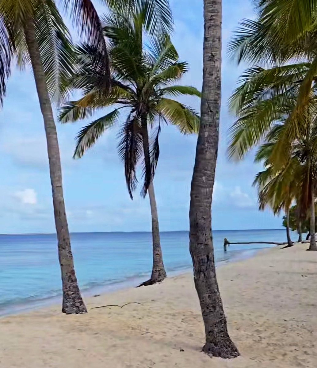 Callmehuman tweet media