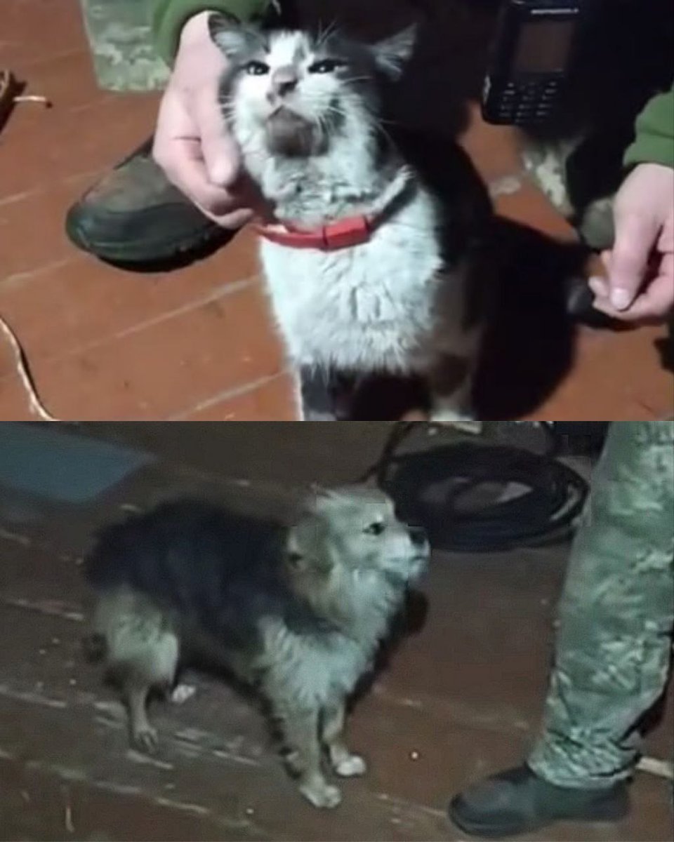 Anton Gerashchenko tweet media