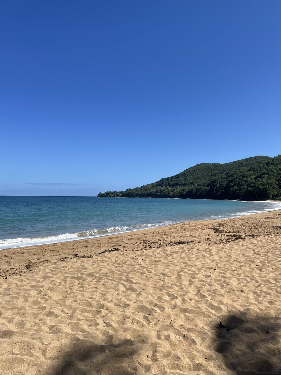 𝐶𝑜𝑐𝑜 🍋🟩 tweet media