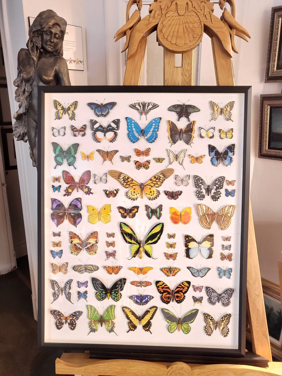 balcondart's tweet photo. 🦋 L'Art de la Préservation | The Art of Preservation

Donner vie à une collection, une aile à la fois. ✨

Bringing a collection to life, one wing at a time. ✨

📍 Venez nous voir en galerie pour discuter de vos projets ! / Visit us at the gallery https://t.co/ulYwA8ZjiX