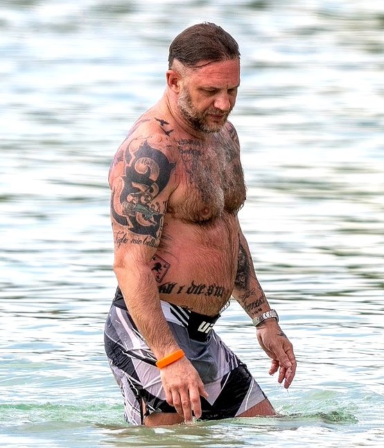 IrishWolfHound tweet media