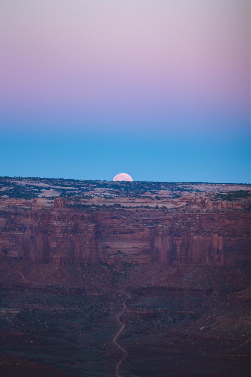 danny sze tweet media