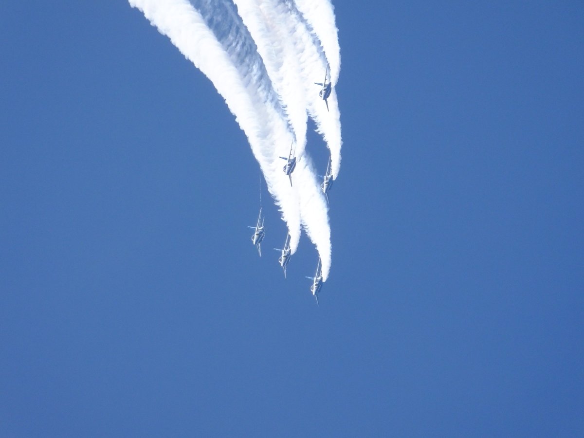 ブルーおやじ tweet media