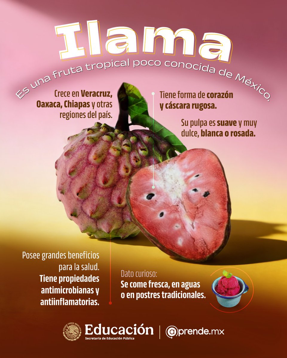 @prende.mx tweet media