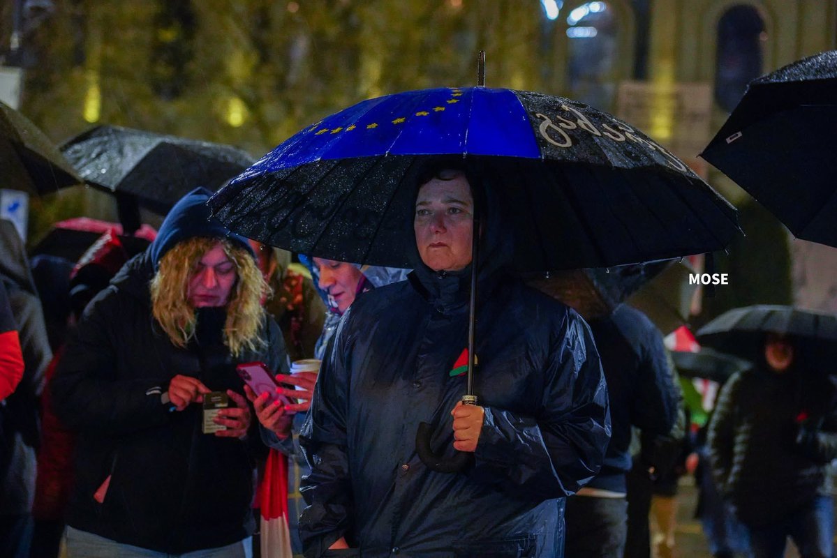 Anna Gvarishvili tweet media