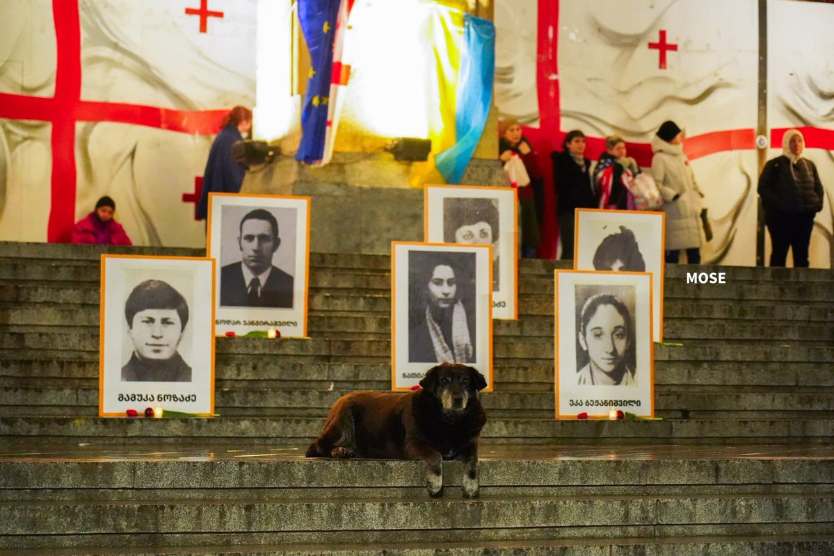 Anna Gvarishvili tweet media