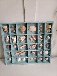 Samantha Messina tweet media