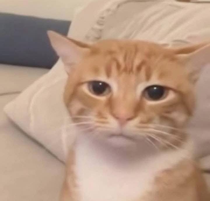 Nad ⁷ ⁶₁₃ 🍏 콩꽃🇲🇽 ⦿ ☰ ☲ tweet media