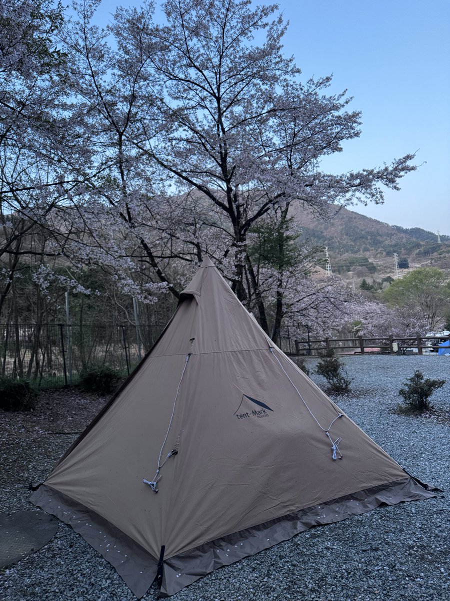 おやじ＠アウトドア人🎣🏕 tweet media