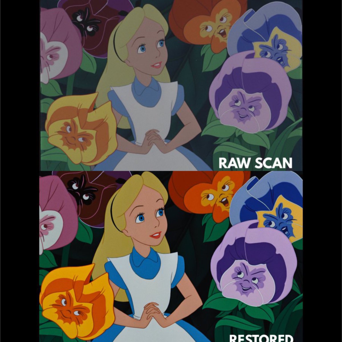 🖤 Buy Physical Media 🖤 tweet media