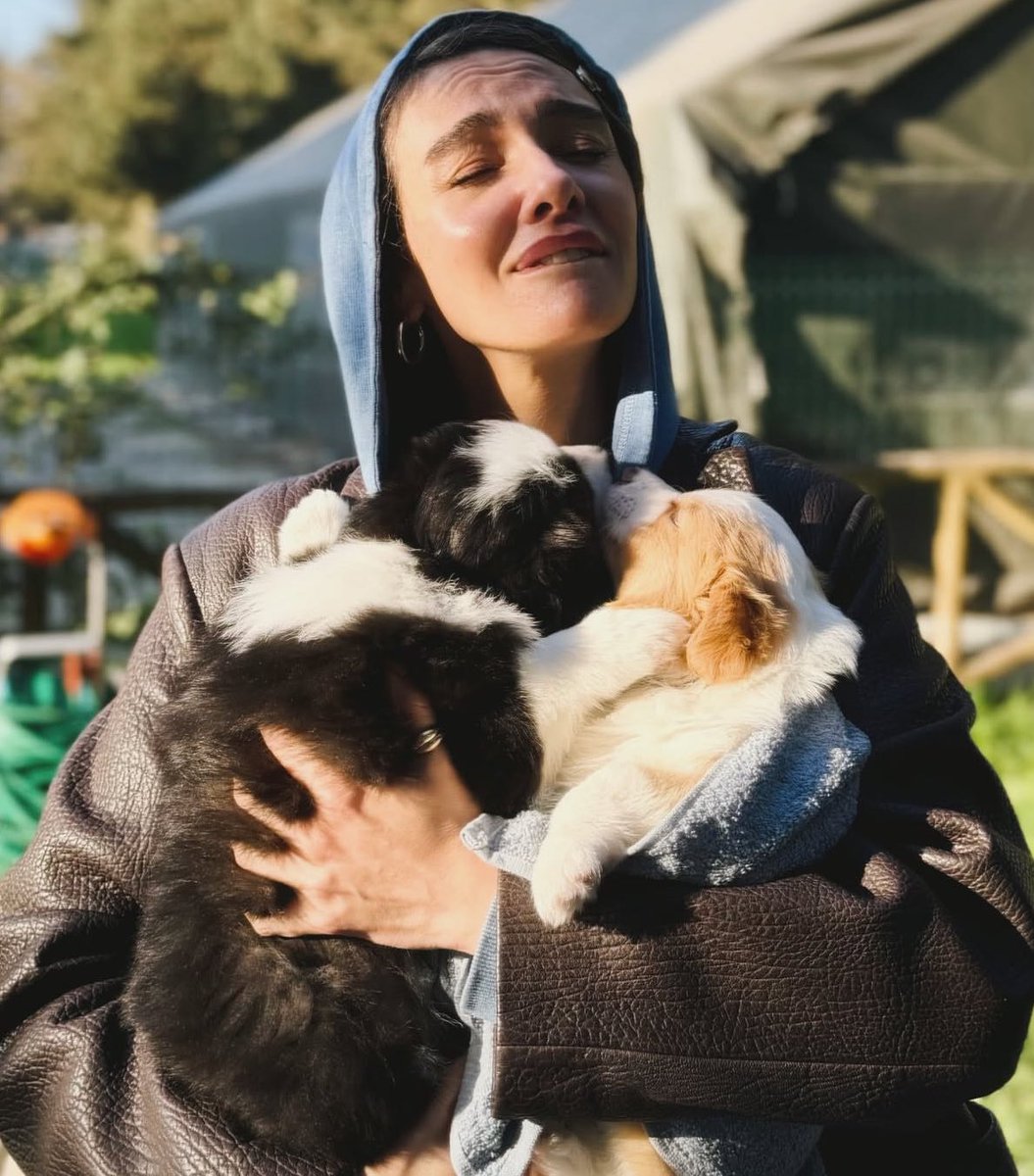 gilankaragöz tweet media