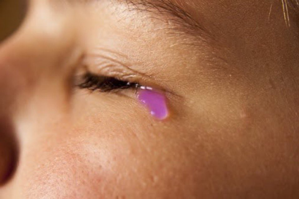 nei🇦🇷 21/10 ⦿ ☰ ☲ tweet media