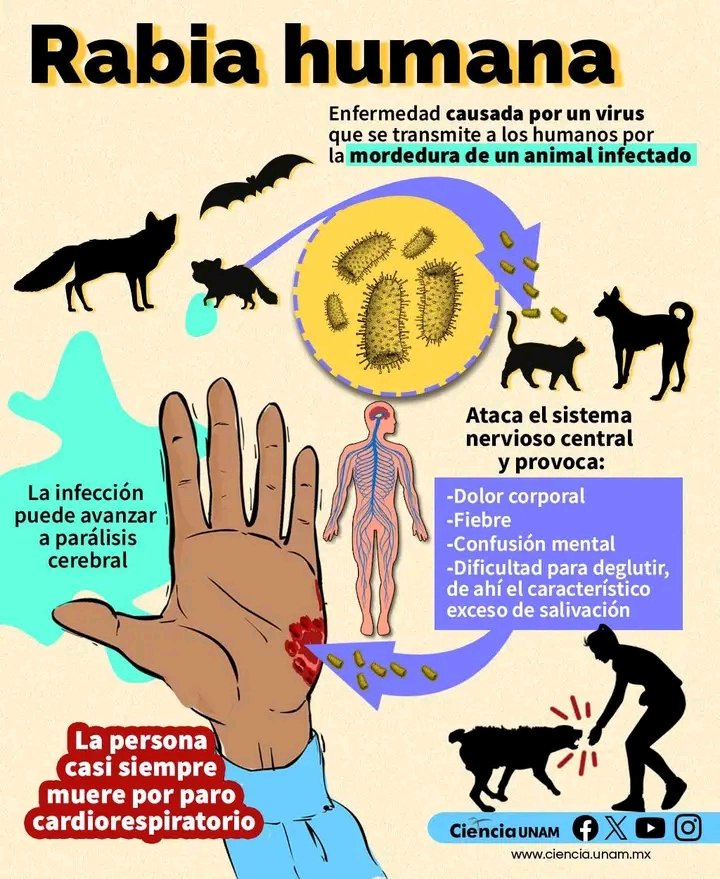 Delegación Territorial del CITMA en Villa Clara tweet media