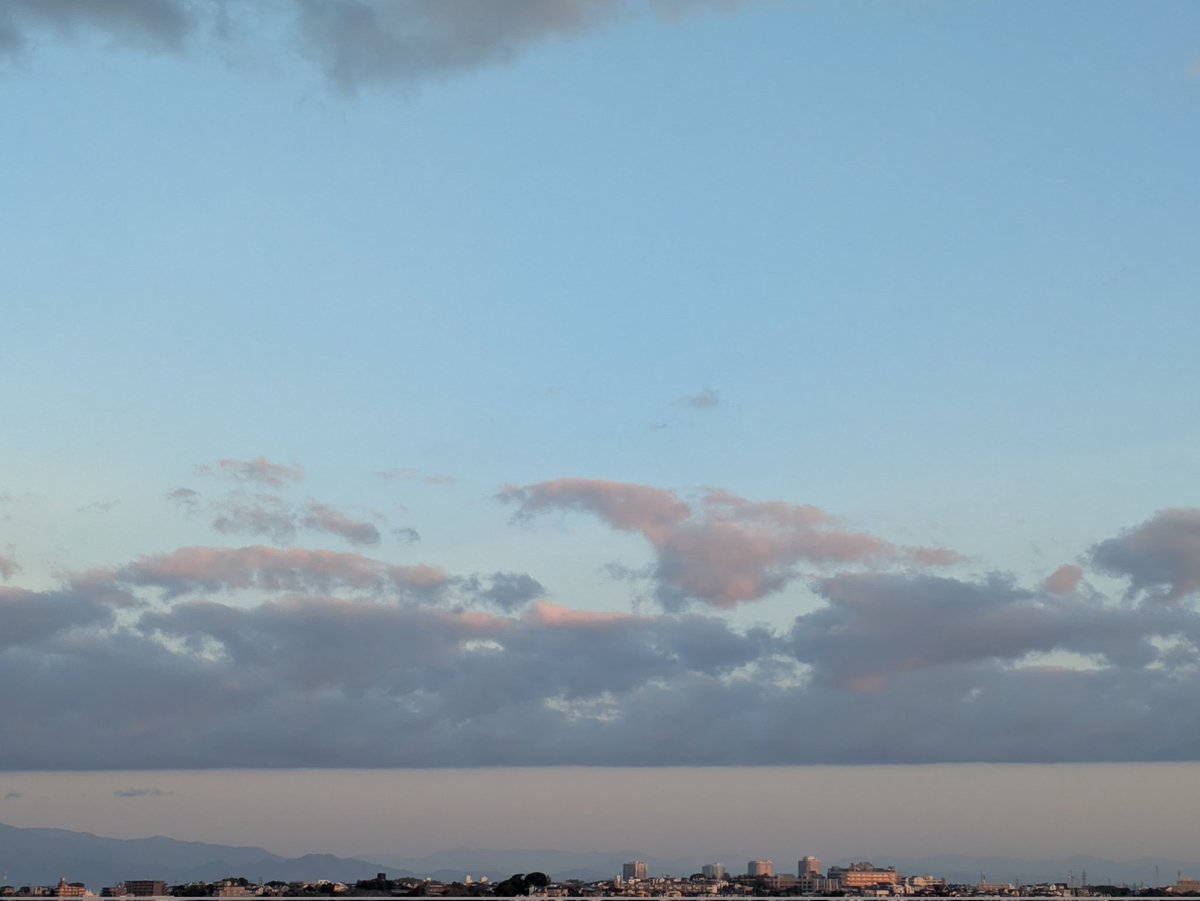 瑞雲ziun ELD55 tweet media