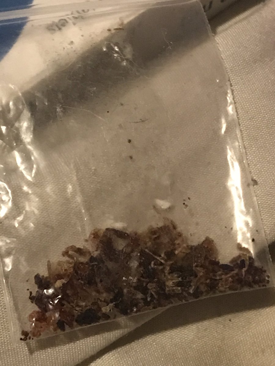 rockbottom tweet media