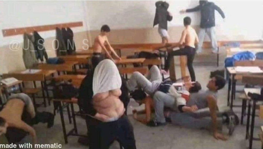 شیمبله tweet media