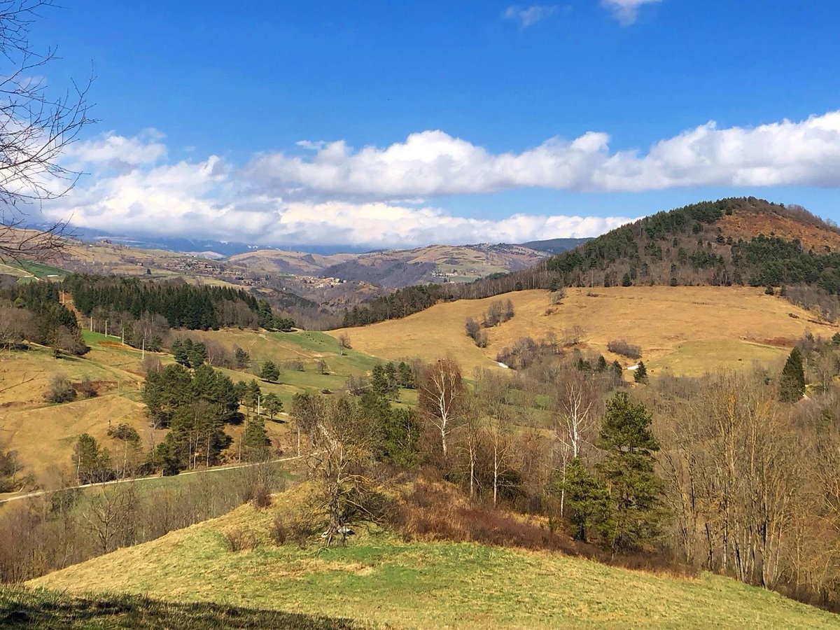 ElsSolans's tweet image. Passejant pel voltant del #camping #camprodon #senderisme #molló