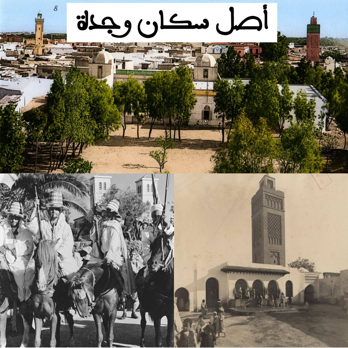 ⵙⴰⴼ ساف tweet media