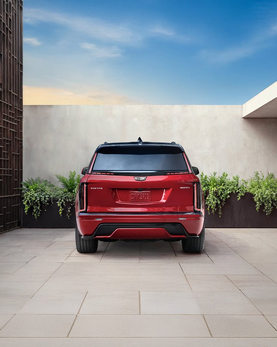 Throttle Cars tweet media