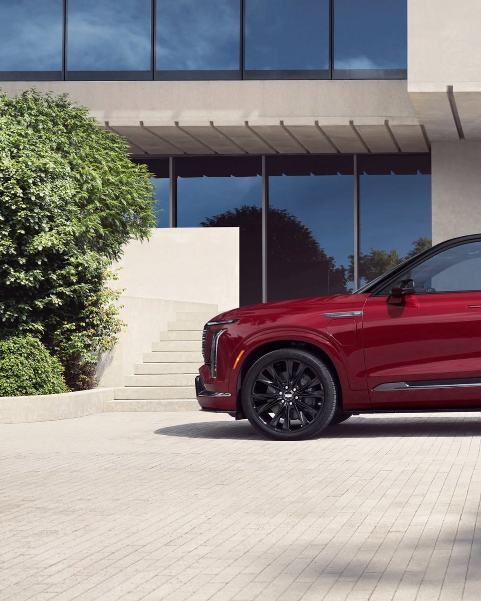 Throttle Cars tweet media