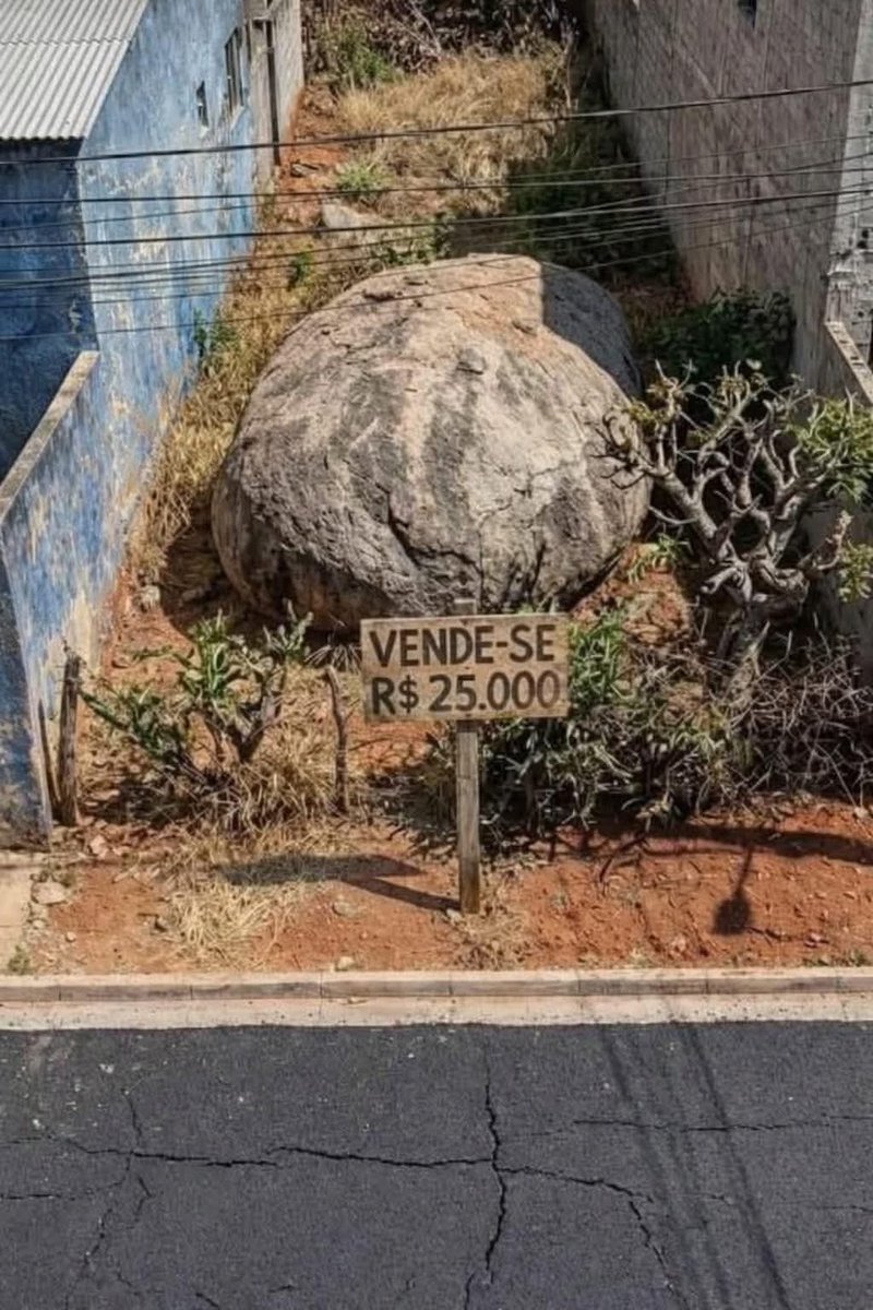 PÁTRIA MAMADA 🤣 tweet media