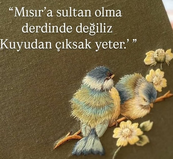 Aybüke 🇹🇷58 tweet media