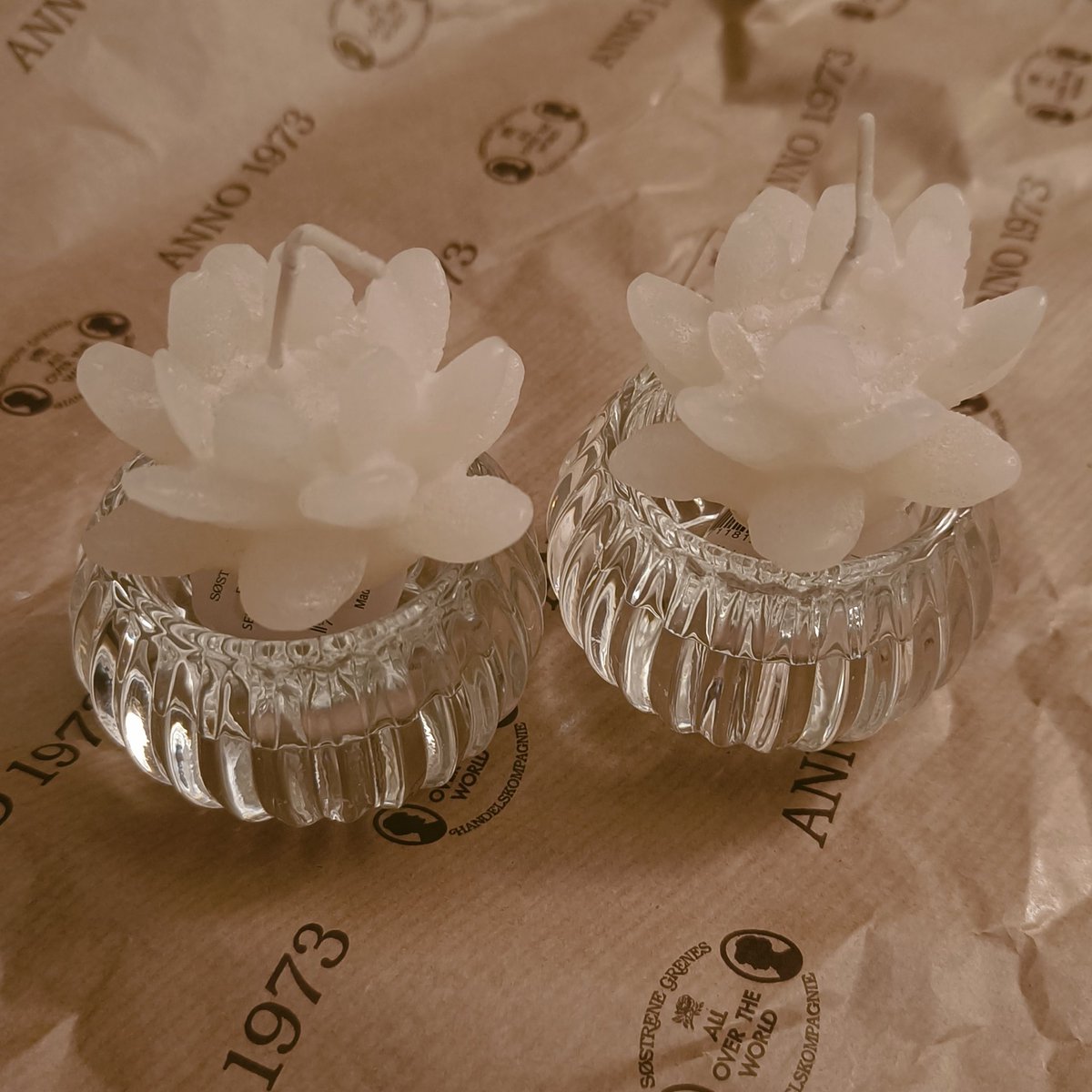 Abby🇸🇩 tweet media