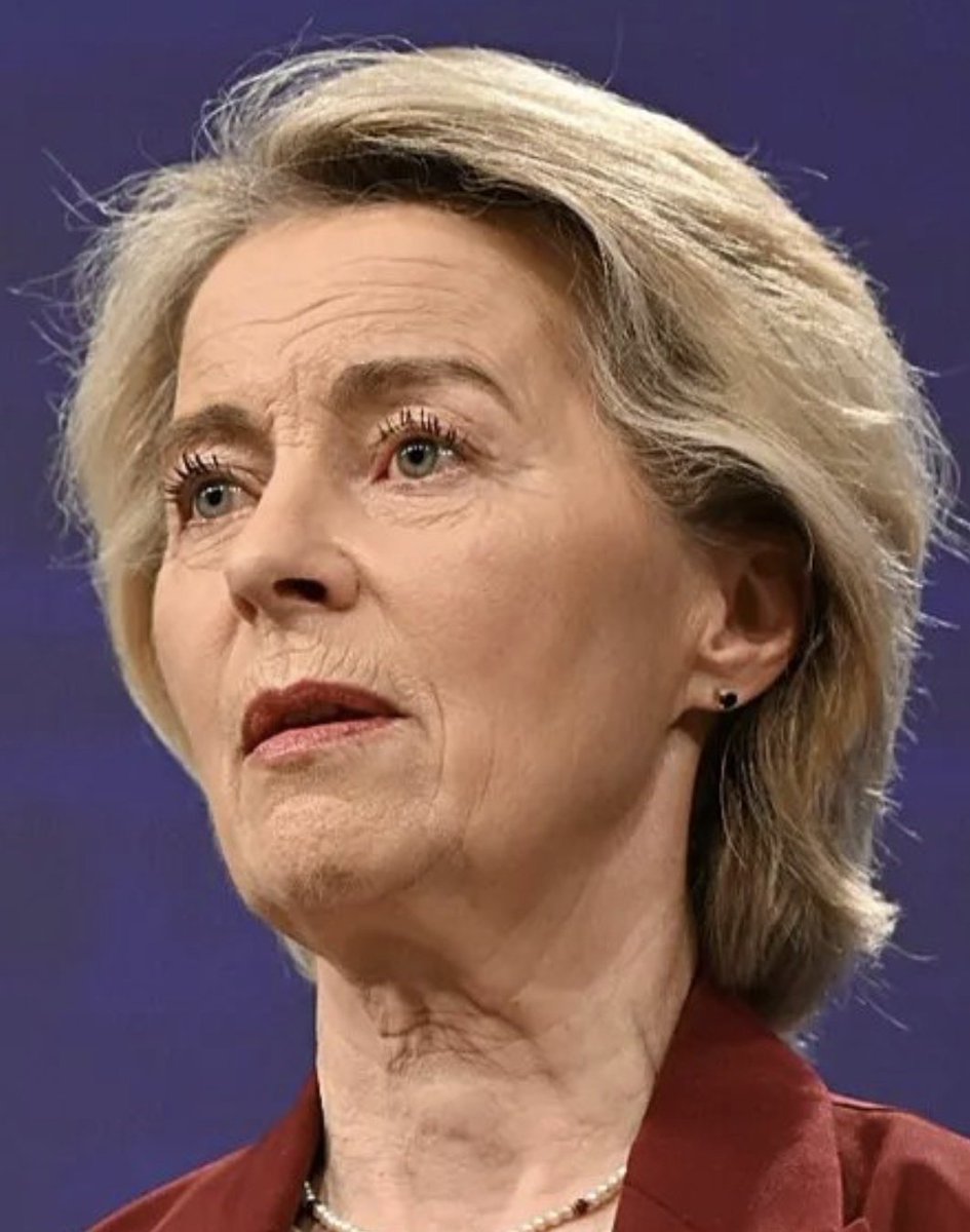 🇫🇷One tweet media