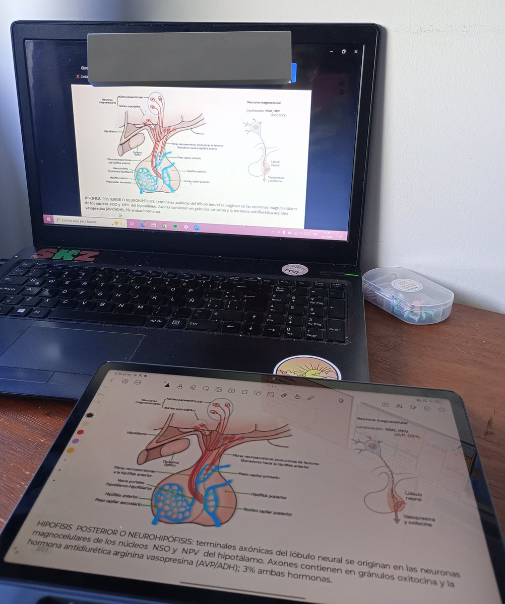 cin 𝜗ৎ tweet media