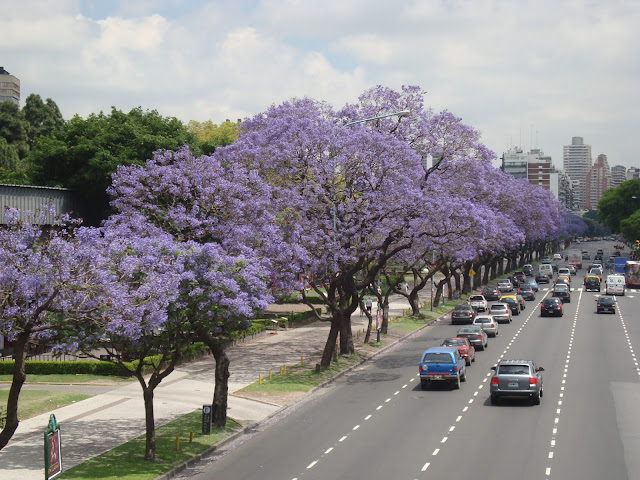 XoanMatthew tweet media