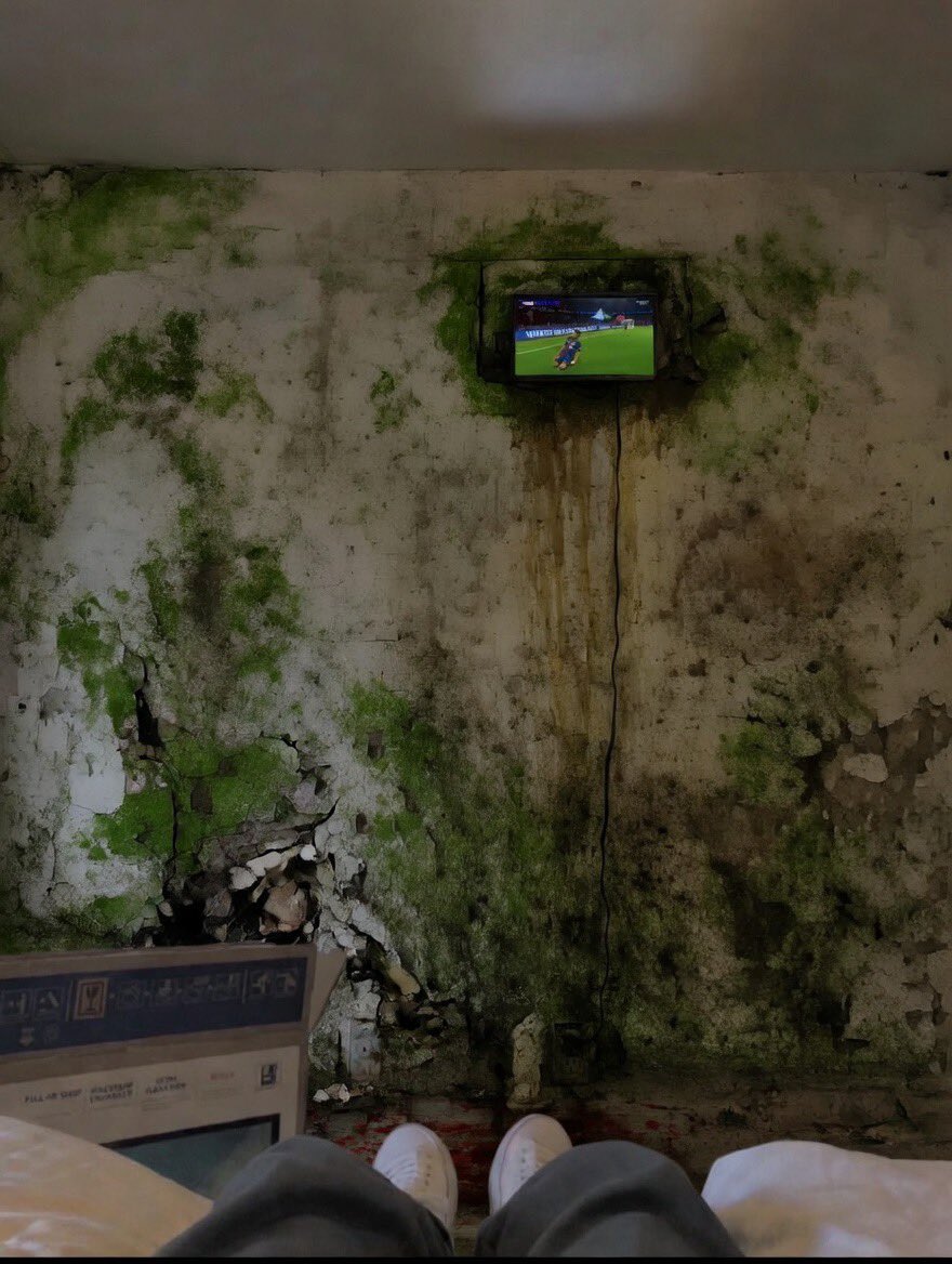 theospr1 tweet media