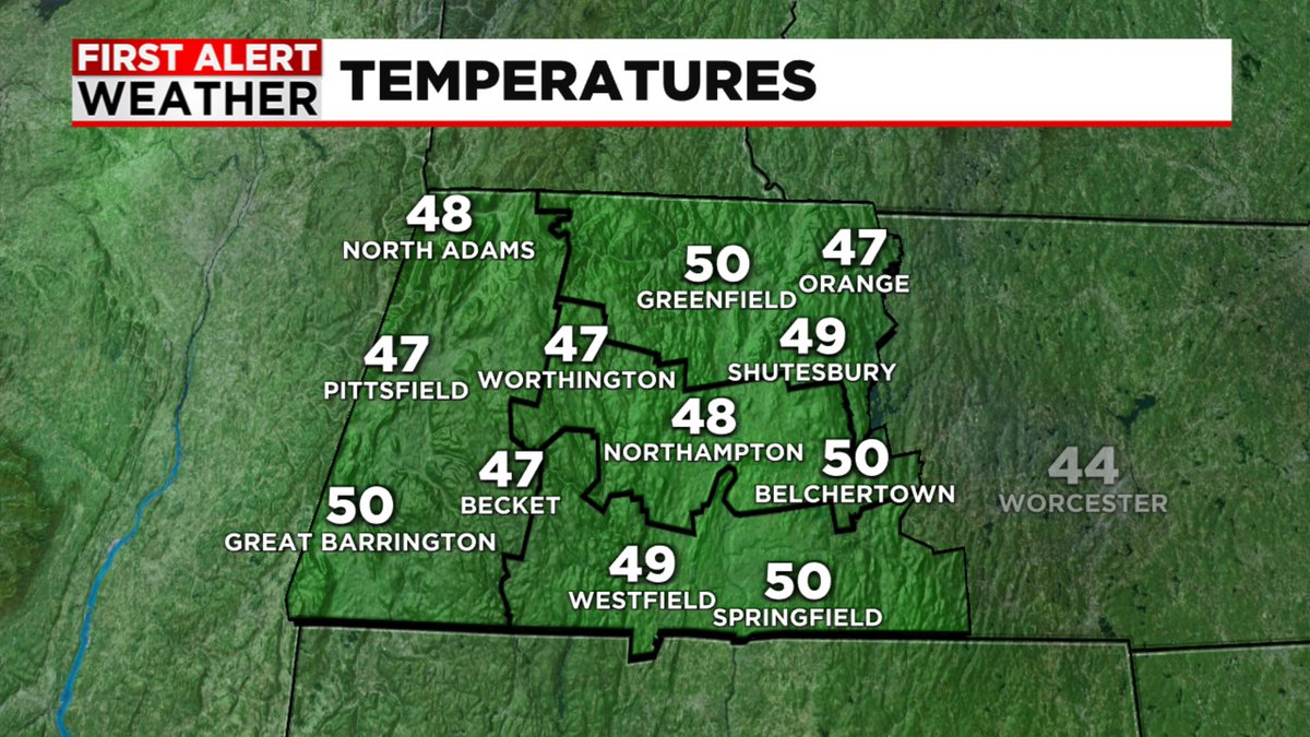 Dan Brown tweet media