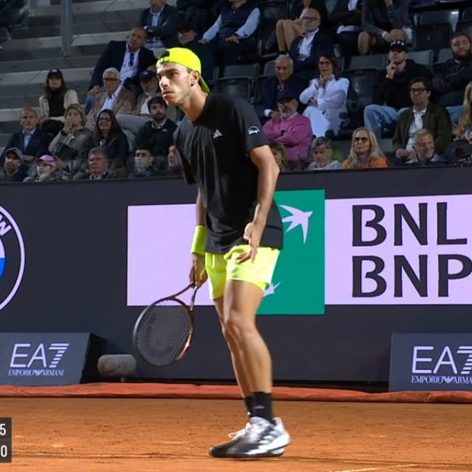 delfi 🐬 tweet media