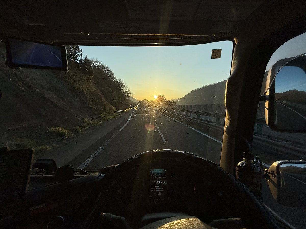 ピロ猫☠️🐏🌸🎹✨🧪 tweet media