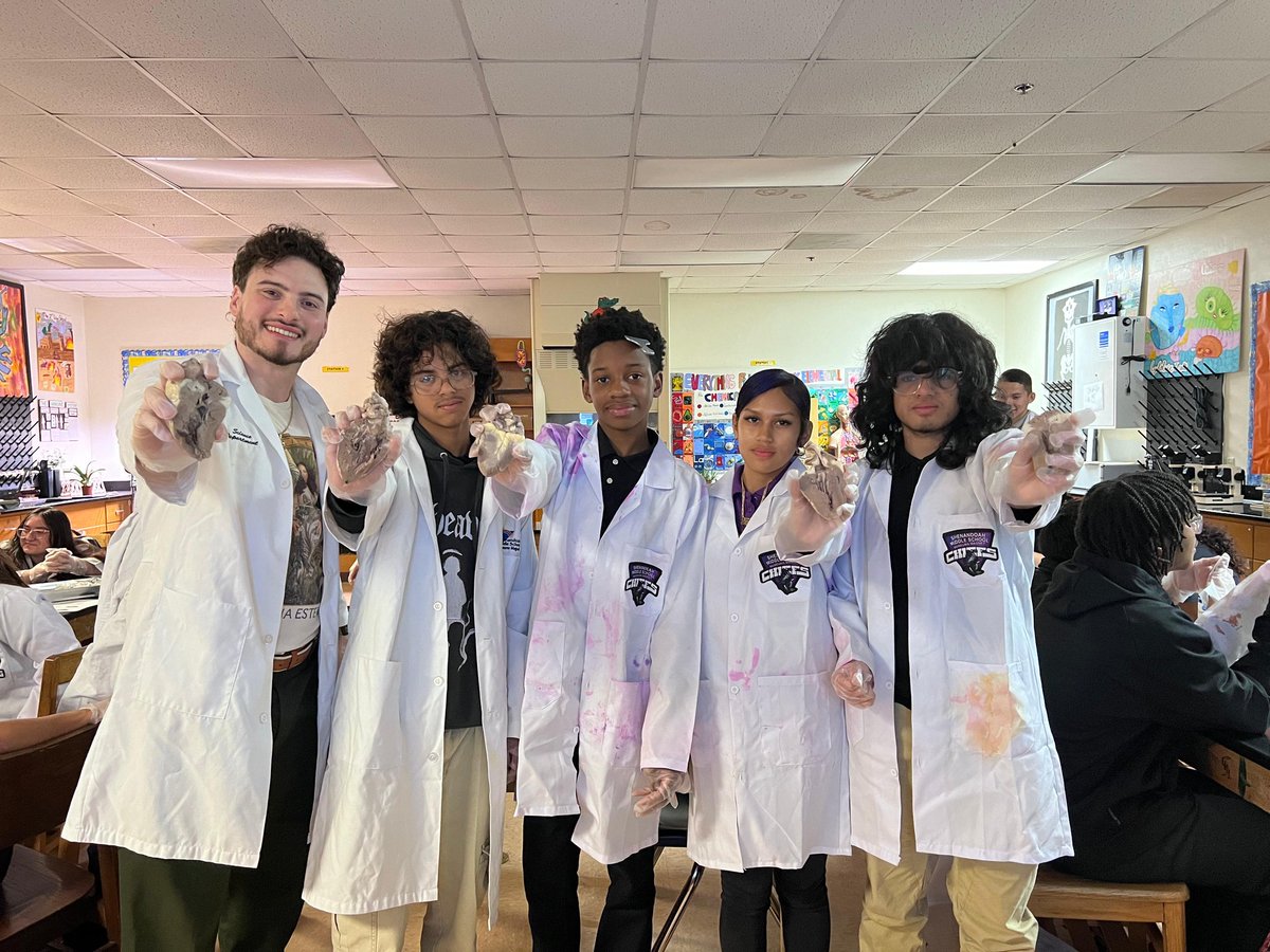 ShenandoahMS's tweet photo. Heart-to-heart in Biology today! 🫀✨ ​Mr. Fernandez’s students dived into their sheep heart dissections to see the circulatory system up close. From tracing blood flow to feeling the strength of the cardiac muscle, it was an unforgettable day in the lab. #SMSScience https://t.co/0XNq12dtnW