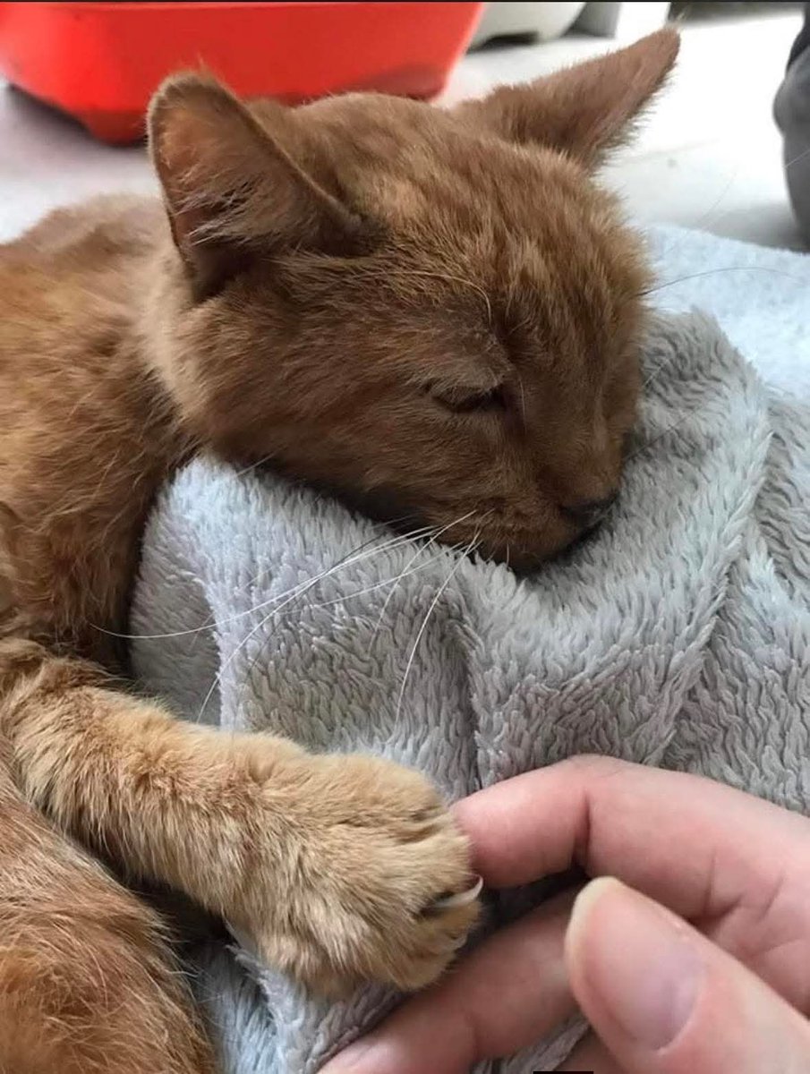 Maria Rose ❤️ tweet media