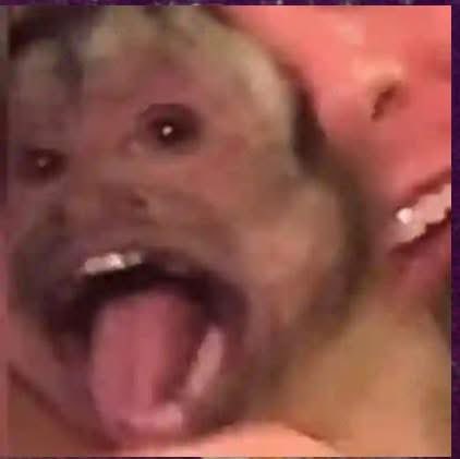 jenniferjo💕 tweet media