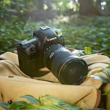 Gateopen tweet media