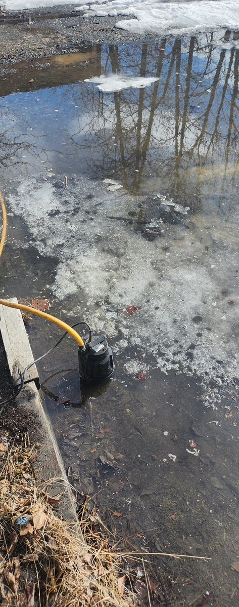 Justa_Guy tweet media