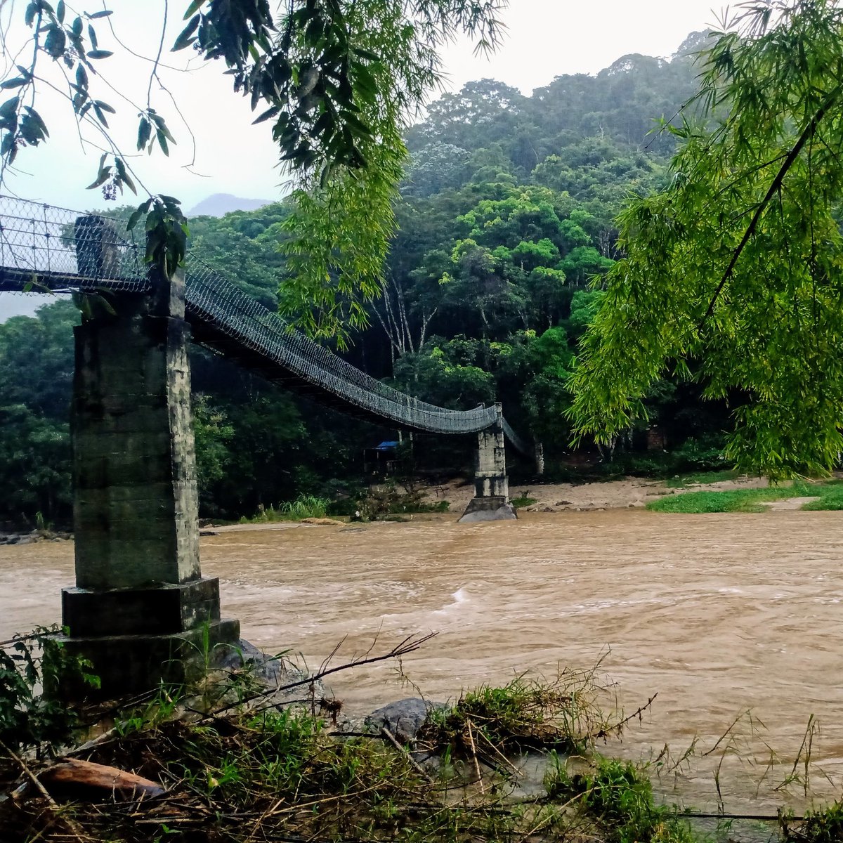 Edipo_Amaral's tweet photo. 🌉 A Ponte de Arame, sobre o Rio Macaé 🌊, é cartão-postal desde os anos 1970 🕰️, com estrutura de cabos de aço e madeira 🪵.

📸 A travessia com leve balanço 🌬️ rende emoção e belas vistas 🌄, sendo ponto ideal para fotos e contato com a natureza 🍃🌿.
#PonteDeArame https://t.co/5eUAfbRzoc