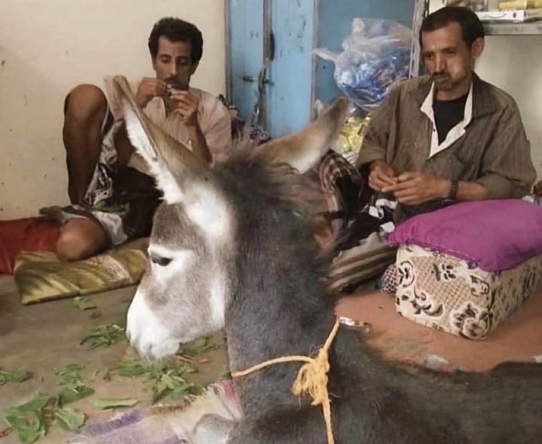 لشبونه tweet media