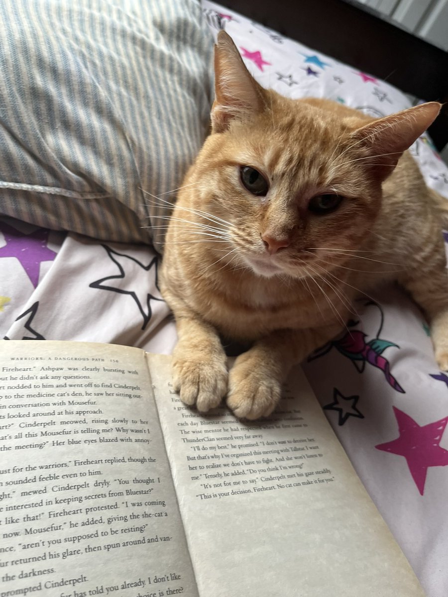 Bethany|| MAGDALENE O. MORIAHS YURIFUL WIFE tweet media