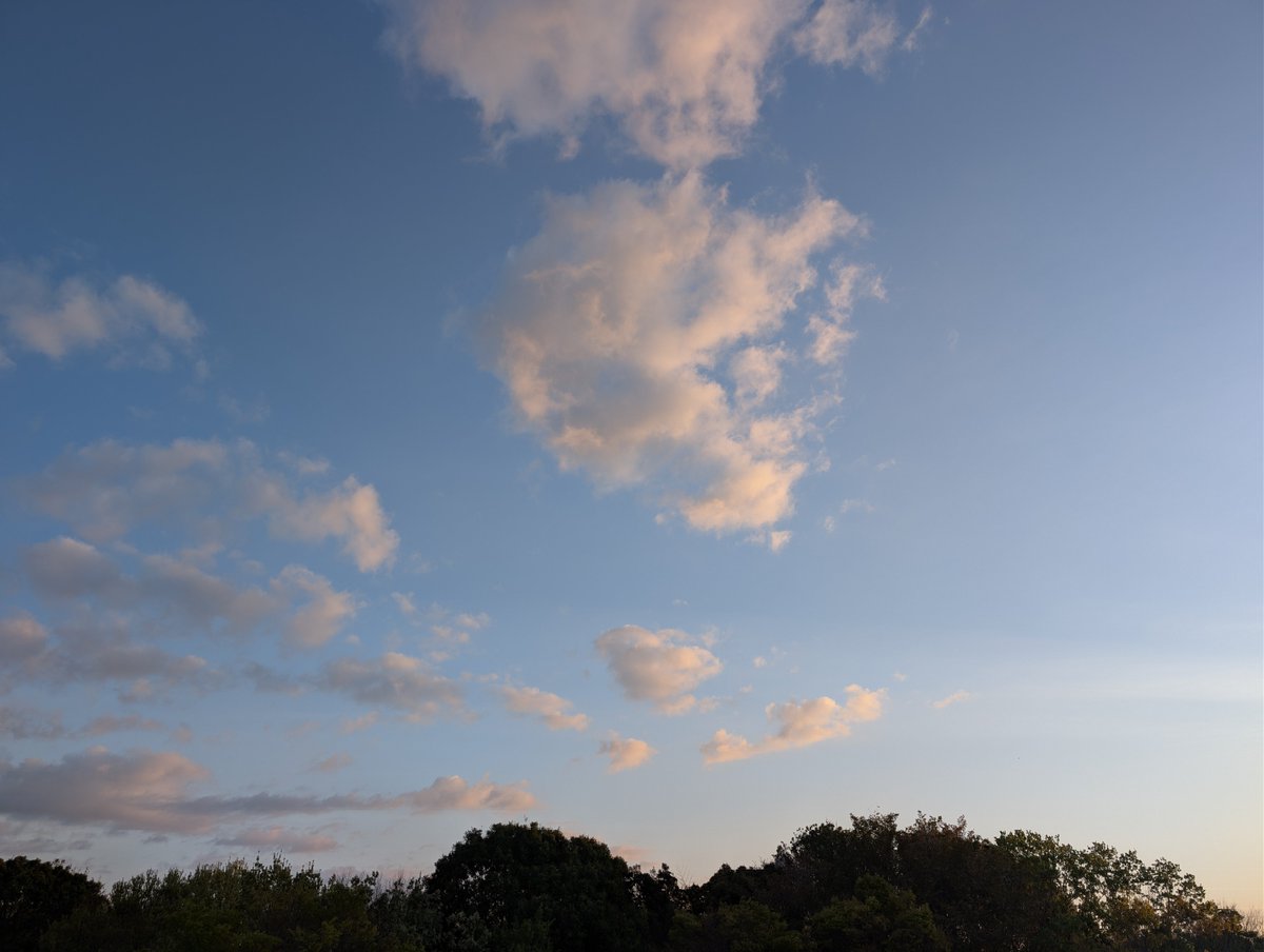 teraken_ tweet media