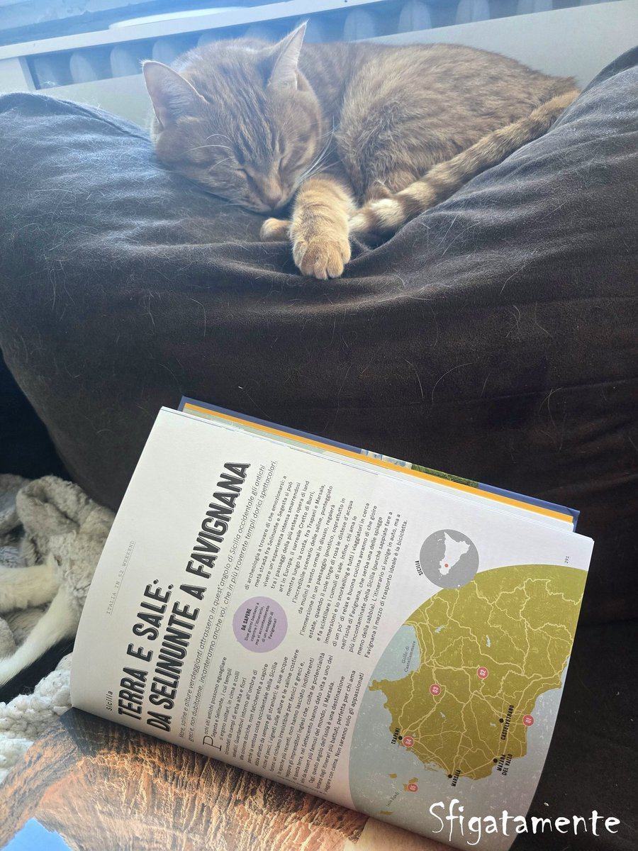 Sfigatamente tweet media