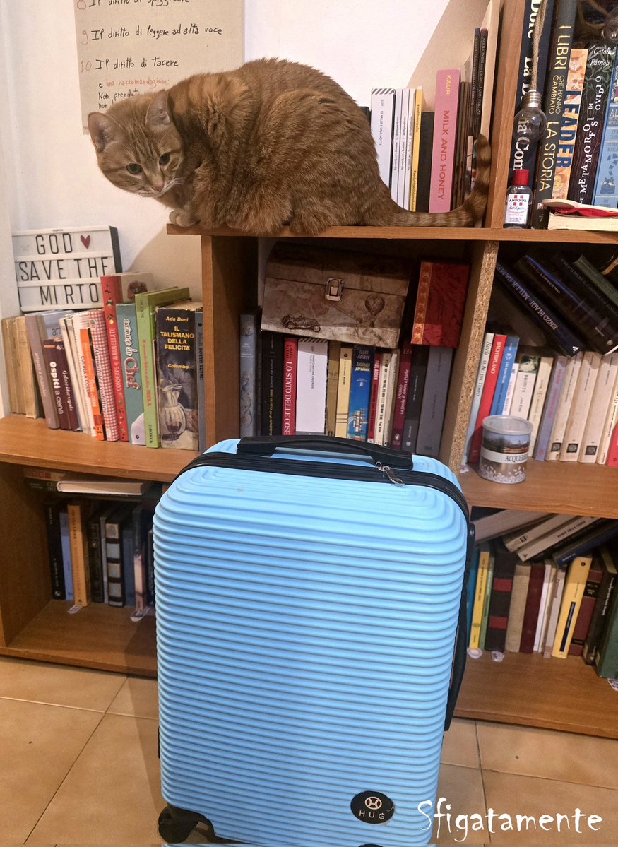 Sfigatamente tweet media